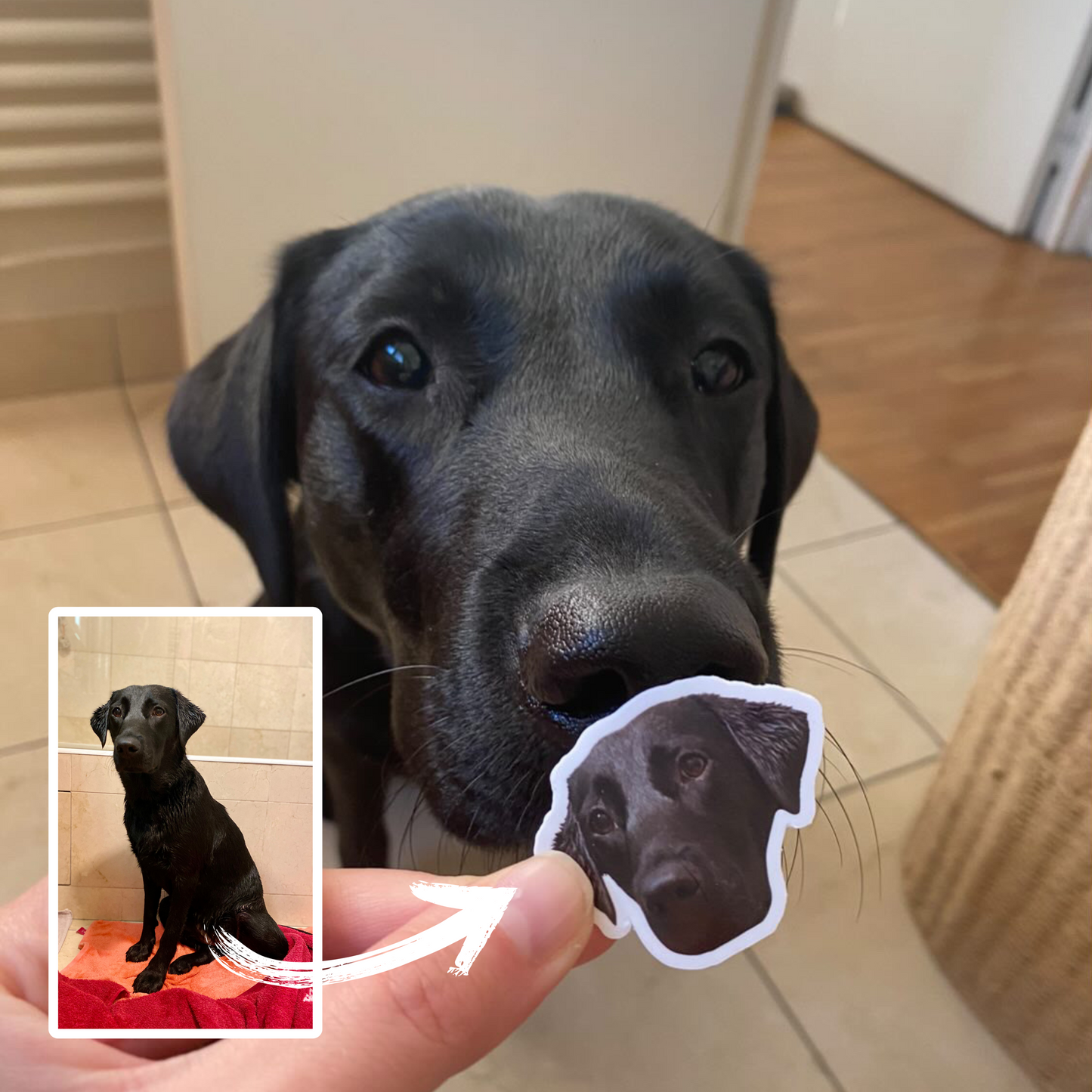Personalized stickers of your pet - Dogs, cats, NAC...