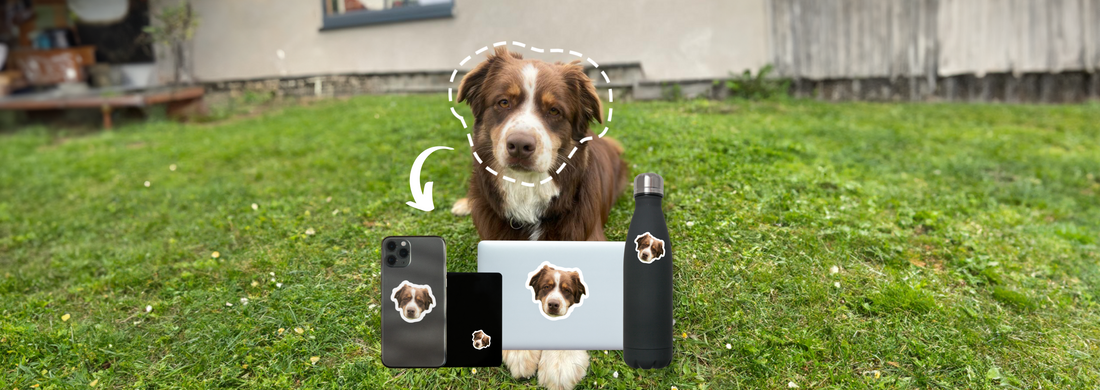 Cadeaux pour propriétaires d'animaux : pourquoi les stickers personnalisés sont une excellente option