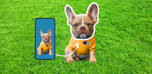 Créer des Stickers de Votre Animal en 1 Minute : Le Guide Sticky Memos