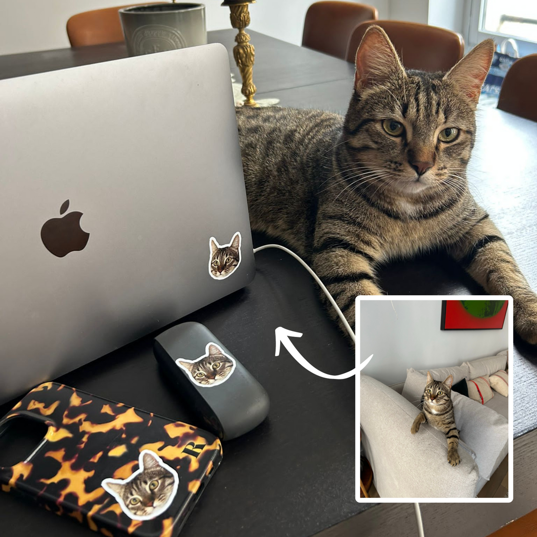 Top Idées de Cadeaux de Noël 2023 : Surprenez avec nos Stickers Personnalisés d'Animaux !