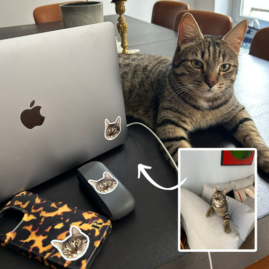 Top Idées de Cadeaux de Noël 2023 : Surprenez avec nos Stickers Personnalisés d'Animaux !