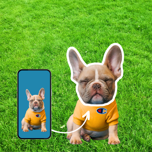 Comment créer le sticker parfait de votre chien