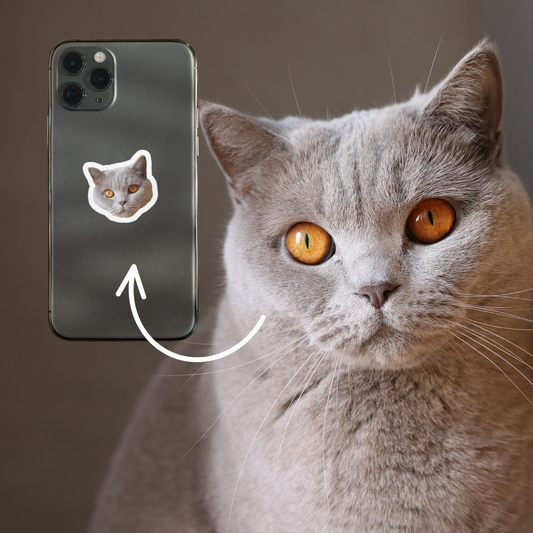 Top 10 des cadeaux personnalisés pour les amoureux des chats