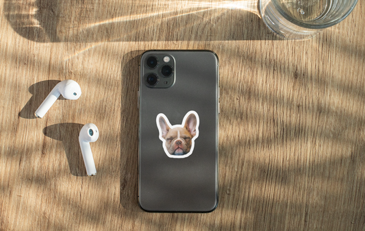 Les 10 Meilleurs Cadeaux pour animaux de compagnie que vous pouvez personnaliser aujourd'hui