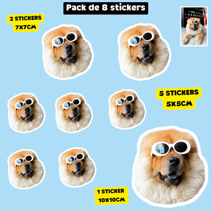 Personalized stickers of your pet - Dogs, cats, NAC...