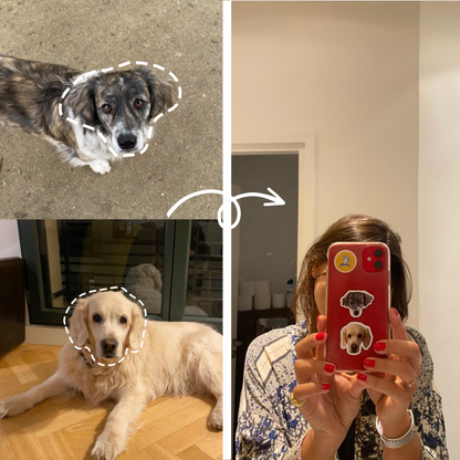 Personalized stickers of your pet - Dogs, cats, NAC...