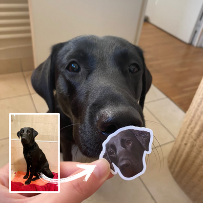 Personalized stickers of your pet - Dogs, cats, NAC...