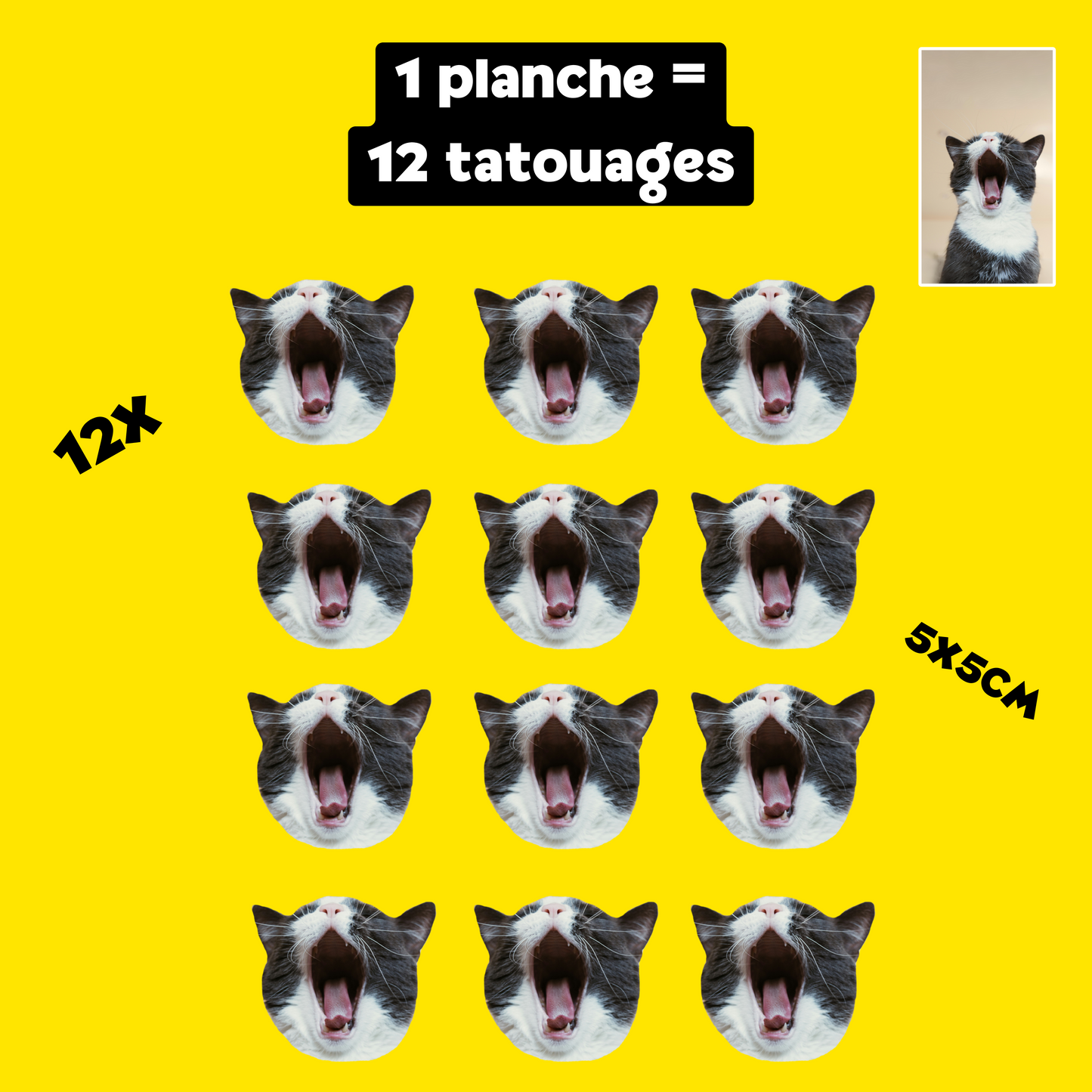 Tatouages personnalisés éphémères